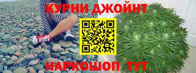 гидра Бузулук