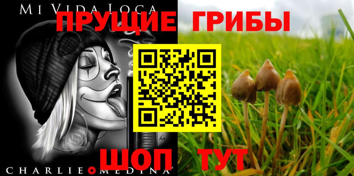 Ставрополь  Псилоцибиновые грибы мухоморы  Вход с VPN 