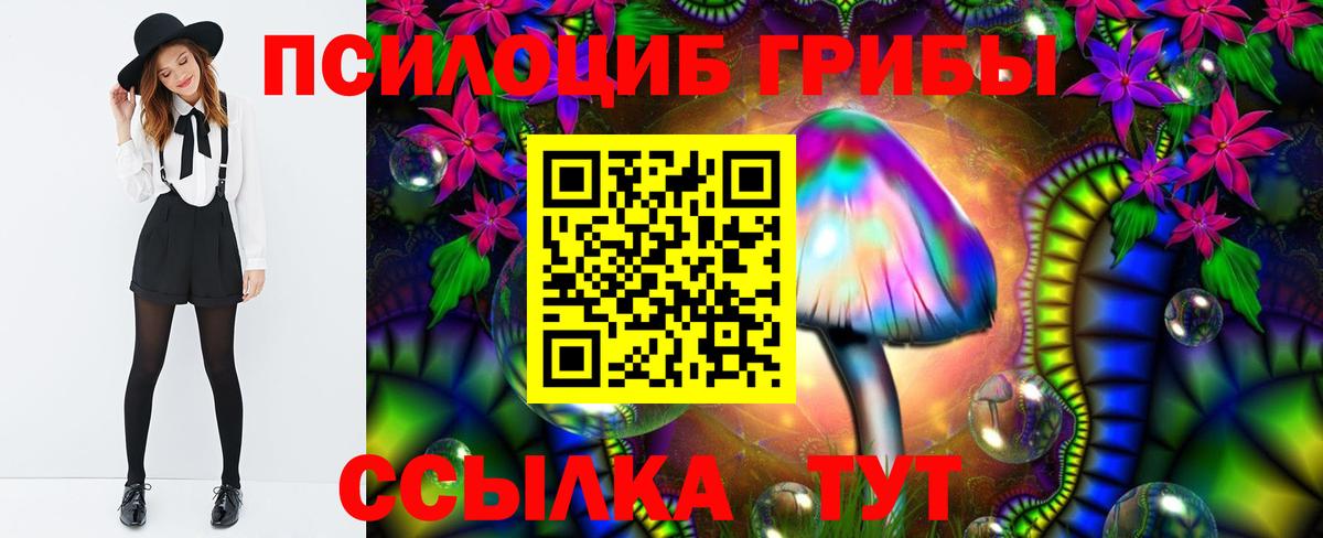 Псилоцибиновые грибы прущие грибы Ставрополь